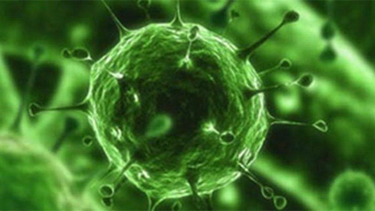 Araştırmacılar, Virüs Sorununu Geometri ile Çözecek