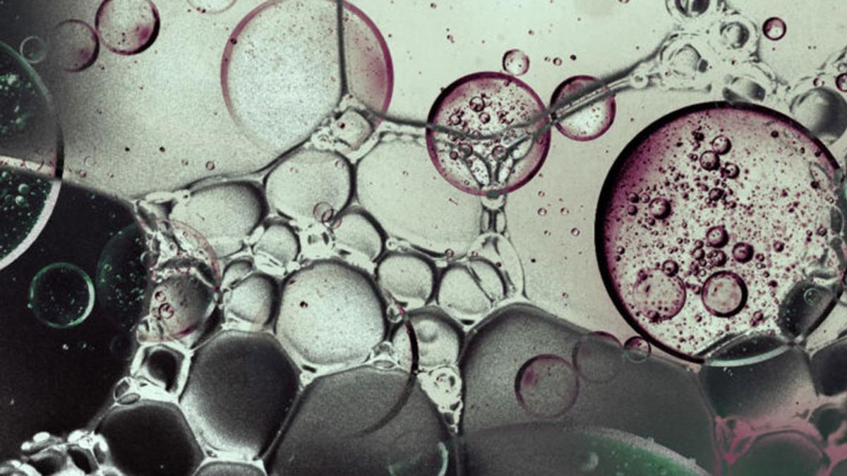 Bir Grup Araştırmacı, Dünyanın İlk Yaşam Formlarından Birini Meydana Getirdiklerini İddia Etti