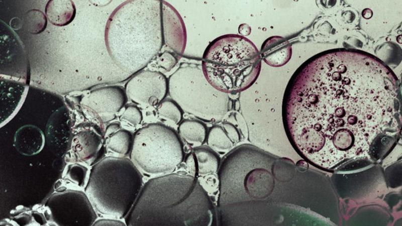 Bir Grup Araştırmacı, Dünyanın İlk Yaşam Formlarından Birini Meydana Getirdiklerini İddia Etti