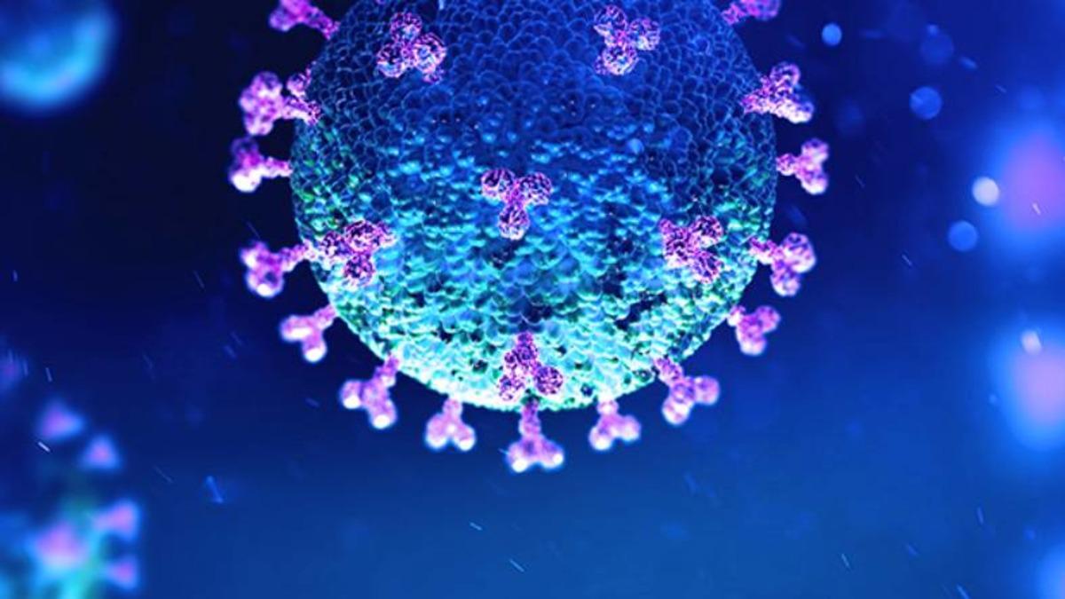 Araştırmalar, Koronavirüsün Vücuttaki Sinir Sistemini Tehdit Ettiğini Gösteriyor
