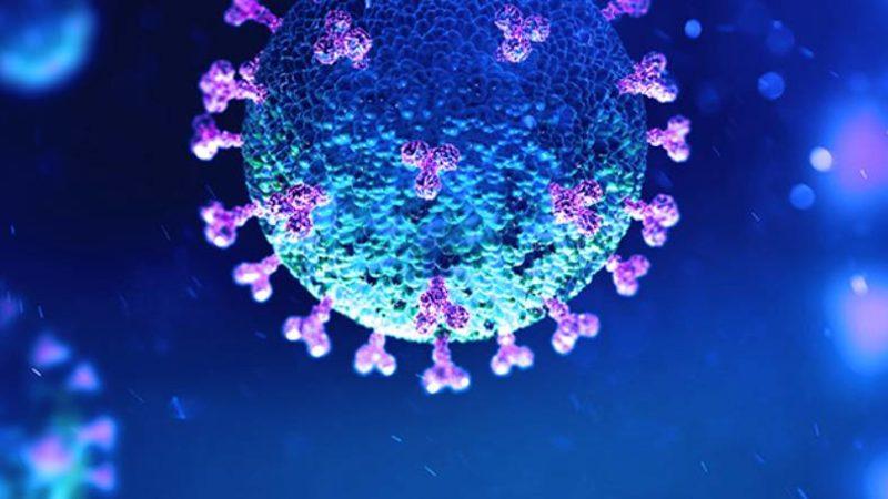 Araştırmalar, Koronavirüsün Vücuttaki Sinir Sistemini Tehdit Ettiğini Gösteriyor