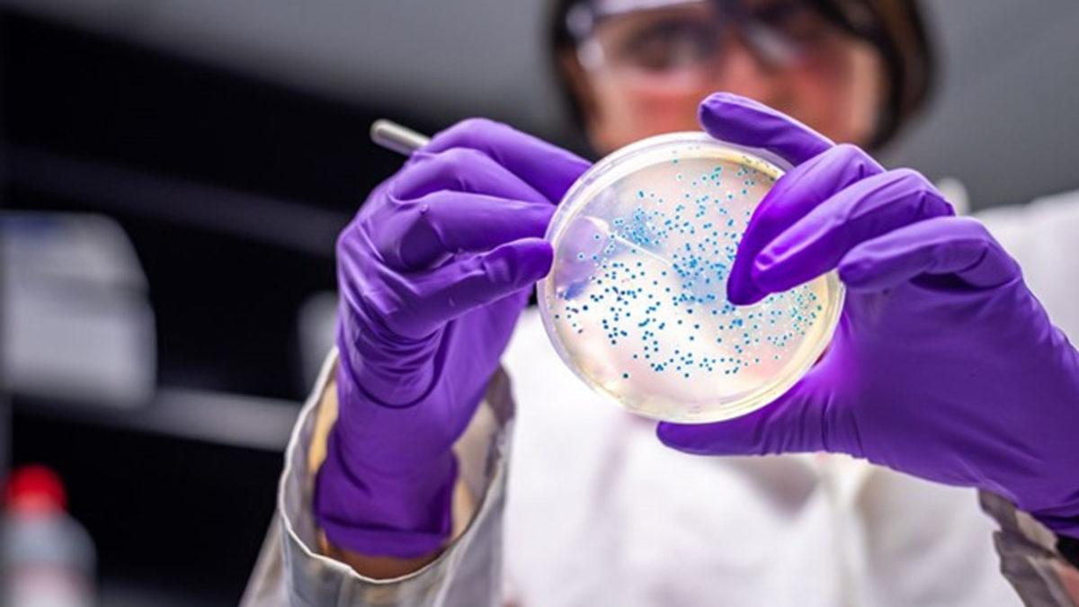 Koronavirüsü Daha Ölümcül Hâle Getiren Bir Mutasyon Ortaya Çıktı