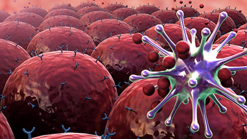 Bilim Dünyası Yaşlılığın Kanser Oluşumunu Engellediğini Ortaya Çıkardı