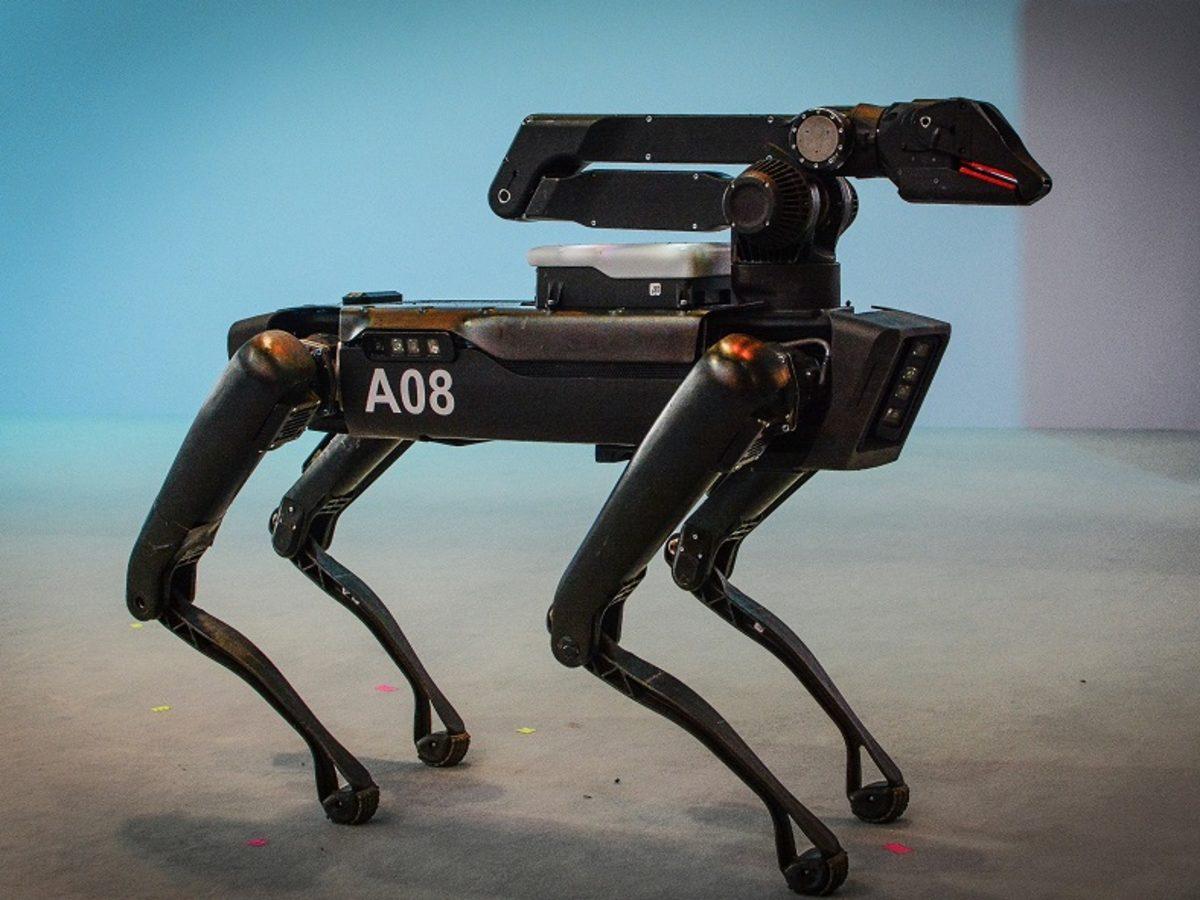 Robot Köpekler Algoritmalar Sayesinde Daha Gerçekçi Hareket Edebiliyor