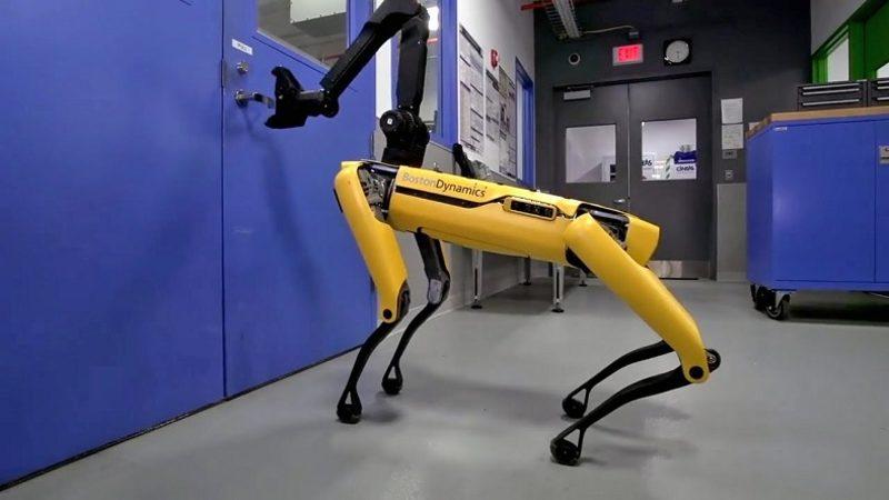 Robot Köpekler Algoritmalar Sayesinde Daha Gerçekçi Hareket Edebiliyor