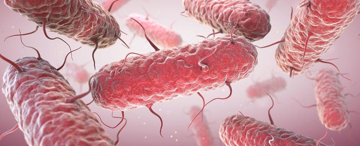 Bir Adam, Ender Görülen Hastalık Sonucunda İçmeden Sarhoş Oldu