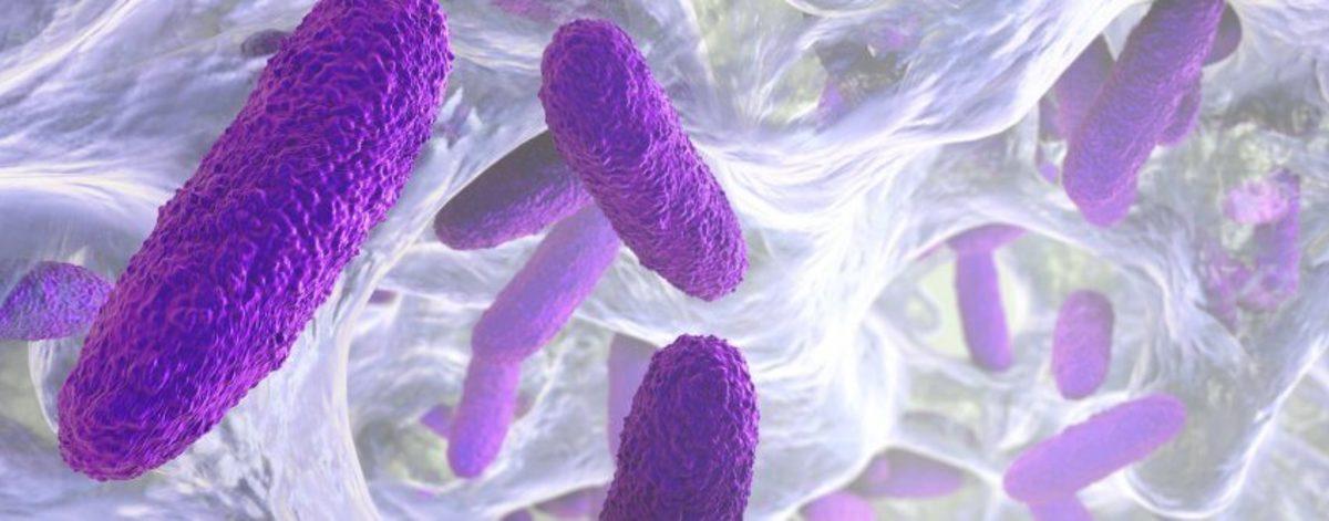 Bir Adam, Ender Görülen Hastalık Sonucunda İçmeden Sarhoş Oldu