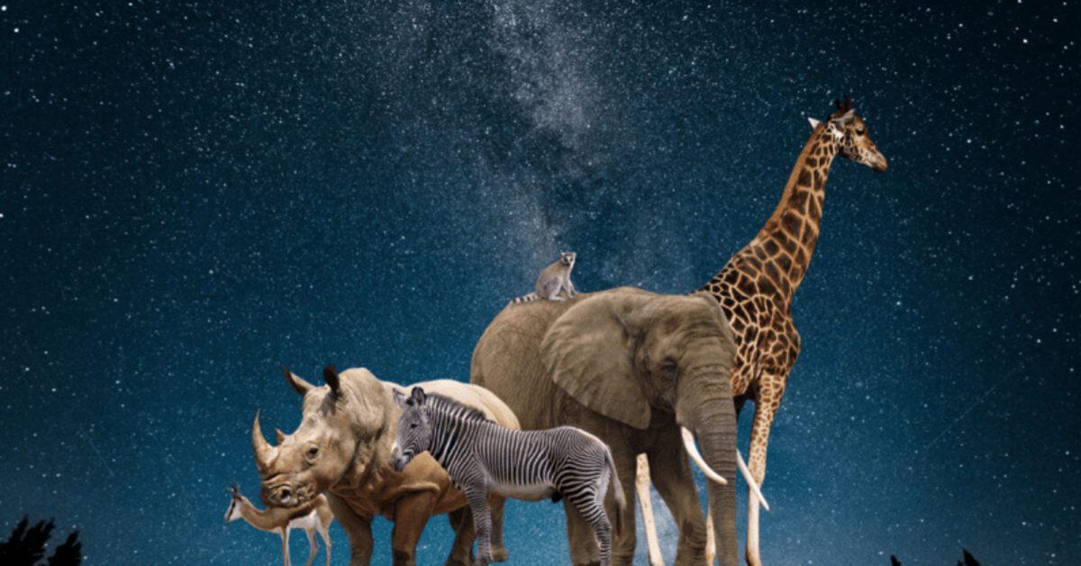 Yarım Milyar Yıl Önce Dağılan Asteroid, Dünya’daki Canlı Çeşitliliğini Nasıl Etkiledi?