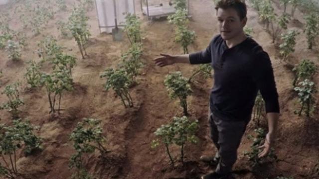 Film Gerçek Oluyor: NASA, Mars’ta Patates Büyütecek!!
