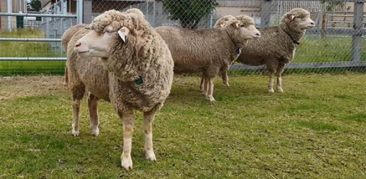 Ketaminin Beyin Üzerindeki Daha Önce Görülmemiş Bir Etkisi Keşfedildi