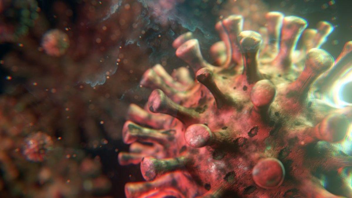 COVID-19’dan Hayatını Kaybeden Hastaların Akciğerleri Tanınmaz Hale Geliyor