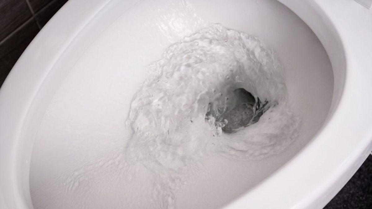 Klozetin Kapağını Kapatmadan Sifonu Çekmek, Koronavirüsün Yayılmasına Neden Olabiliyor