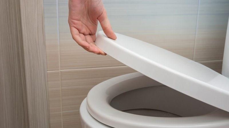 Klozetin Kapağını Kapatmadan Sifonu Çekmek, Koronavirüsün Yayılmasına Neden Olabiliyor