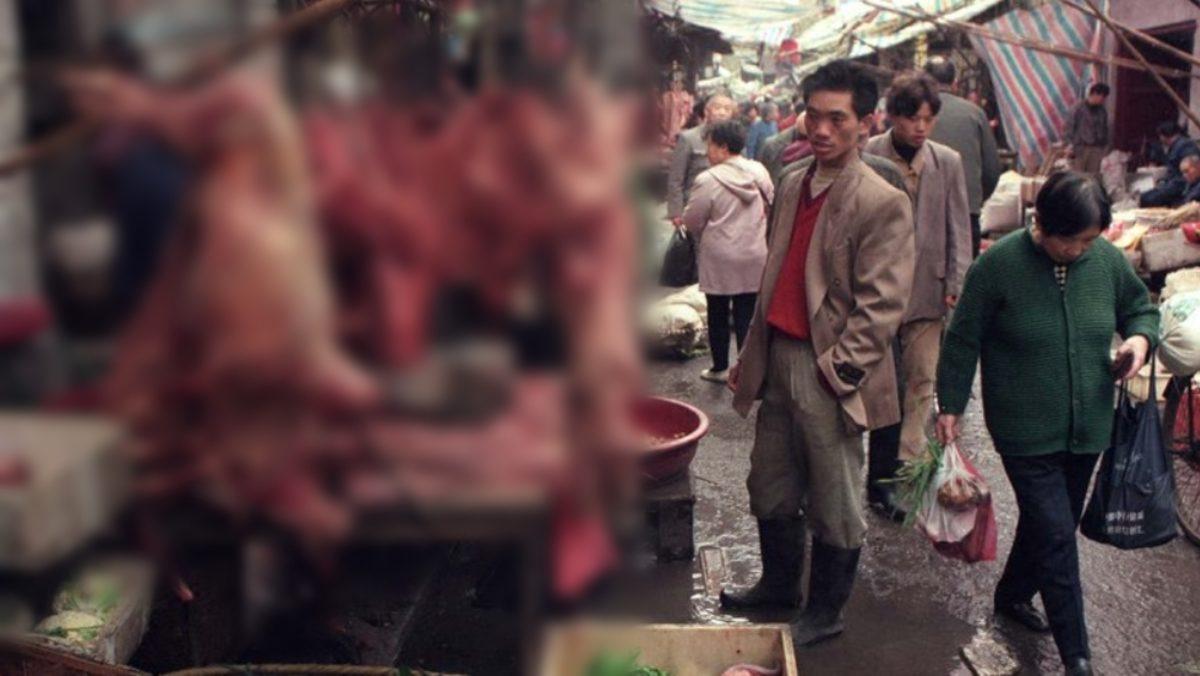 Araştırmacılar, Vahşi Hayvan Pazarlarında Farklı Koronavirüs Türleri Buldu