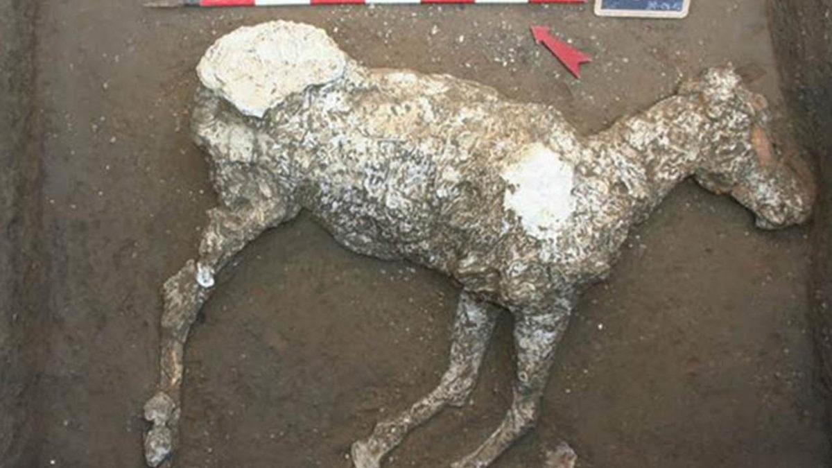 Lavlar Altında Kalan Pompeii Şehrinde Keşfedilmiş 9 Tuhaf Kalıntı