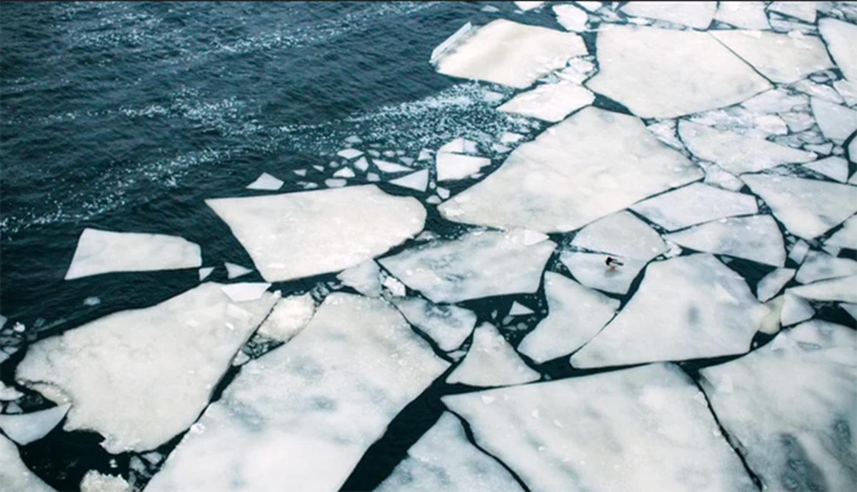 İklim Değişikliği, Sibirya’da Hava Sıcaklıklarını Normalin 10°C Üstüne Çıkardı