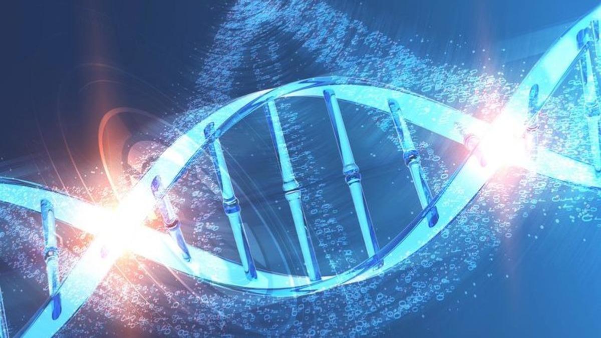 Biyolojik Karanlık Maddenin, Pirincin Çoğalmasındaki Önemini Gösteren Araştırma