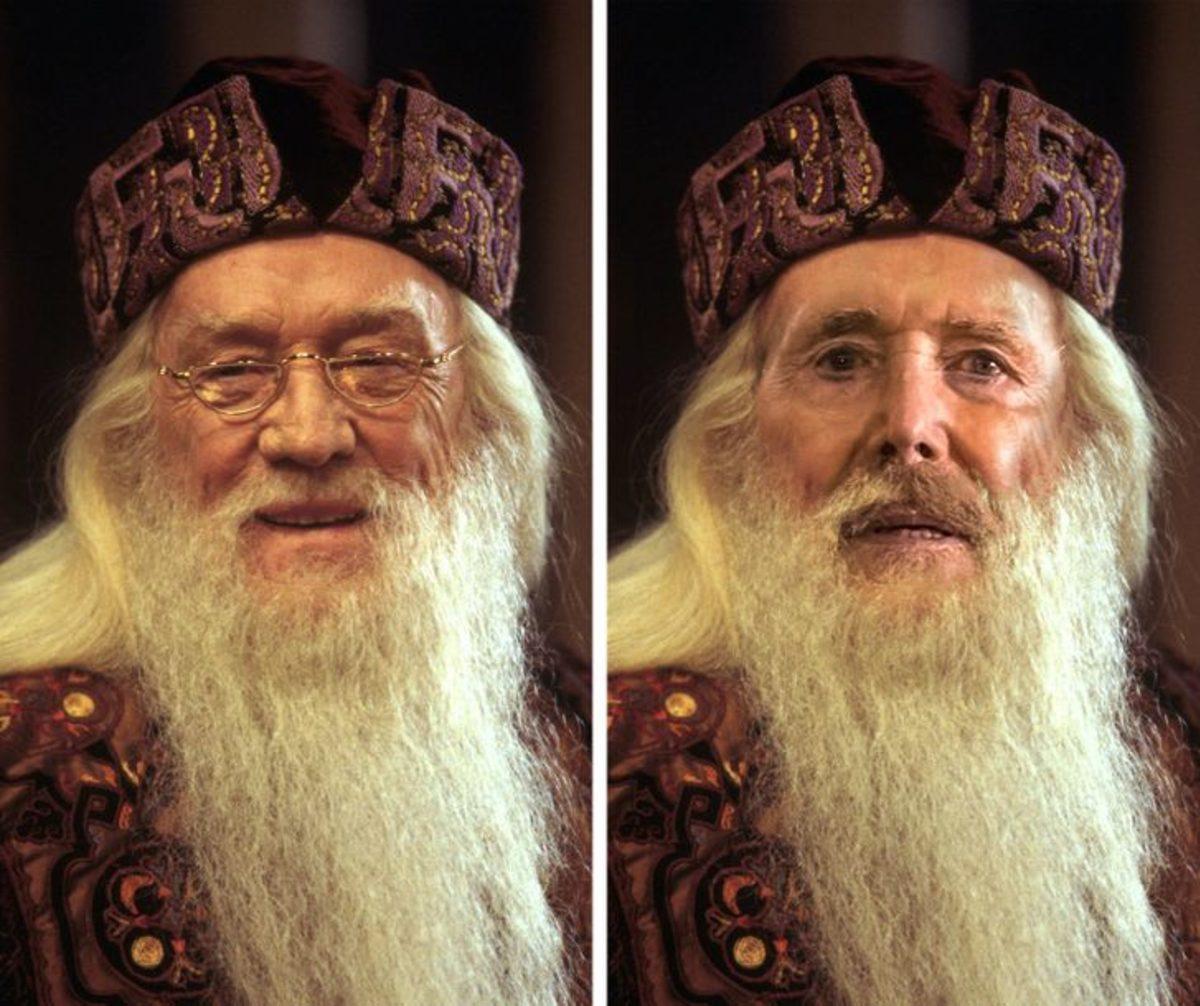 Harry Potter’daki Karakterlere Neredeyse Hayat Verecek 22 Oyuncu