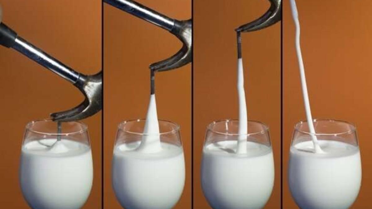 Nişasta ve Su Karışımı ’Oobleck’in İlginç Davranışının Bilimsel Açıklaması