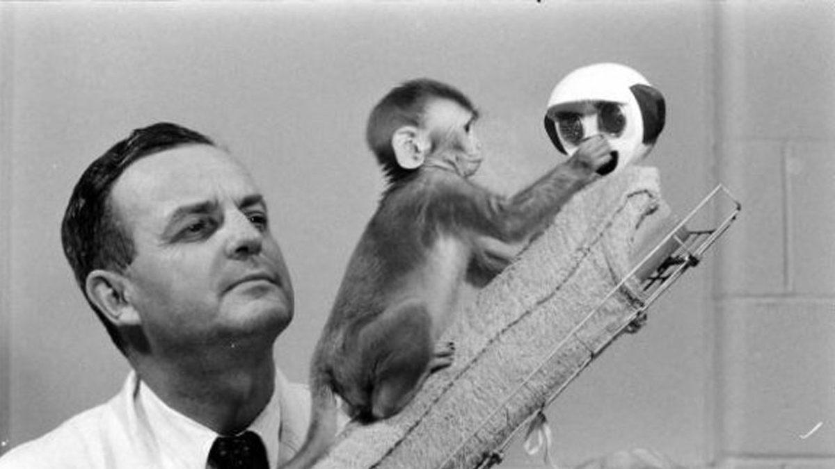 Kimsenin Gülmediği Joker Filminin Detaylı İncelemesi (18+)