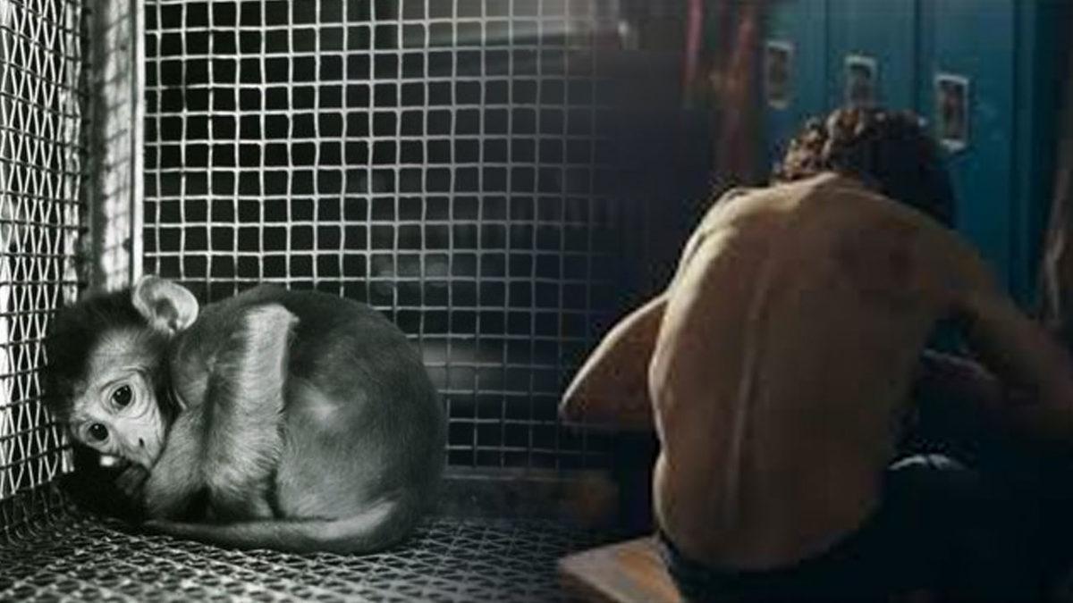 Kimsenin Gülmediği Joker Filminin Detaylı İncelemesi (18+)