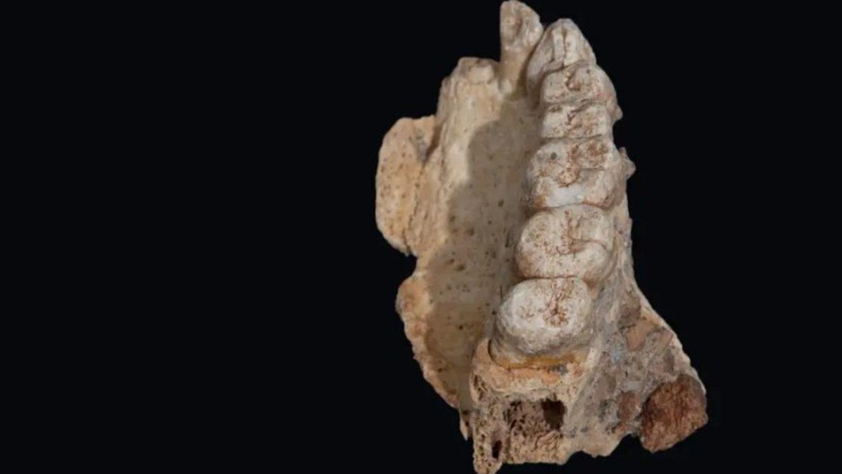 İnsanların, Buzul Çağı’nda Afrika’dan Orta Doğu’ya Göç Ettiklerini Gösteren Keşif