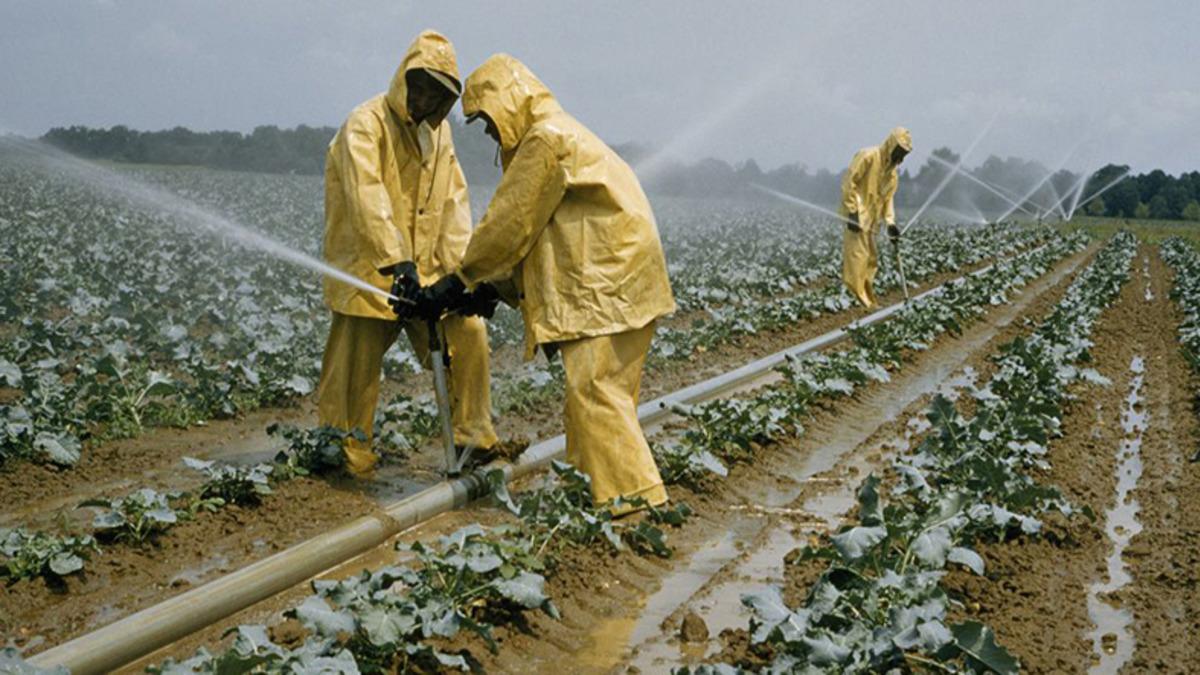 Tarımda Antibiyotik Kullanımının Düşünülenden Çok Daha Fazla Olduğu Ortaya Çıktı