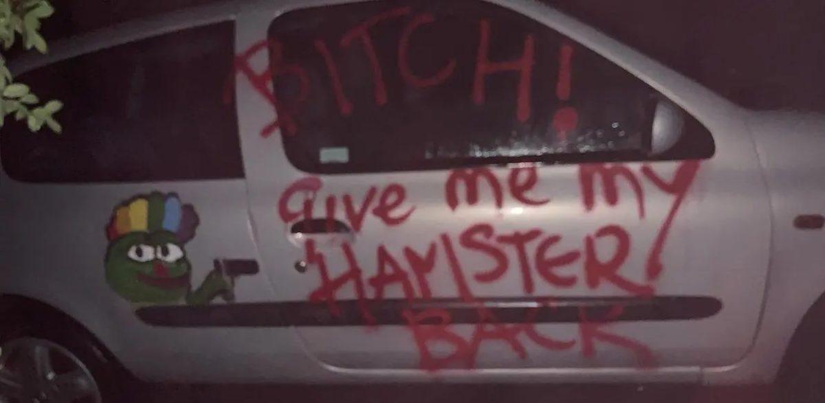 2 Aydır Ortalarda Görünmeyen YouTuber Belle Delphine Hakkında Bilmediğiniz 10 Şey