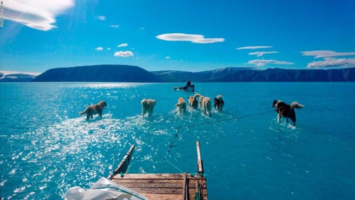 Dünyadaki Buzulların Hepsi Bir Anda Erirse Ne Olur?