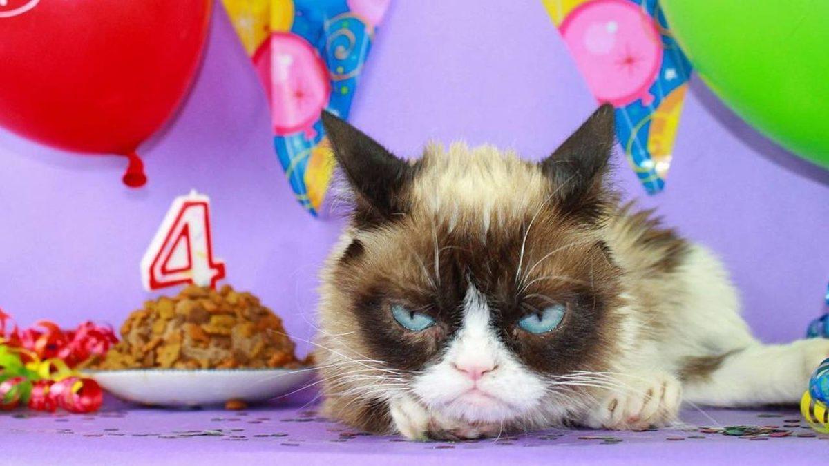 Sevimlilikleriyle Mutluluk Yayan Sosyal Medya Fenomeni 10 Evcil Hayvan