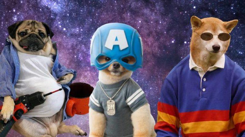 Sevimlilikleriyle Mutluluk Yayan Sosyal Medya Fenomeni 10 Evcil Hayvan