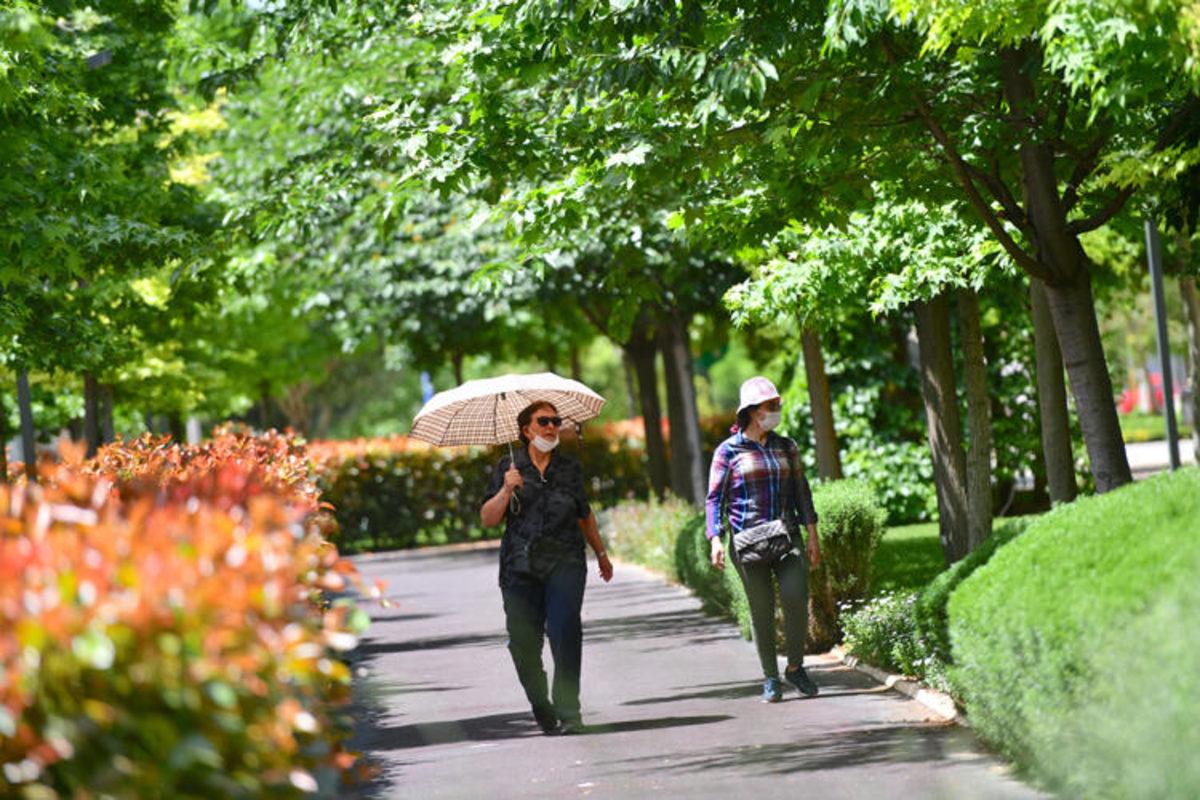 65 Yaş ve Üzeri Vatandaşlar, Seyahat İzin Belgesi ile Tatile Gidebilecek