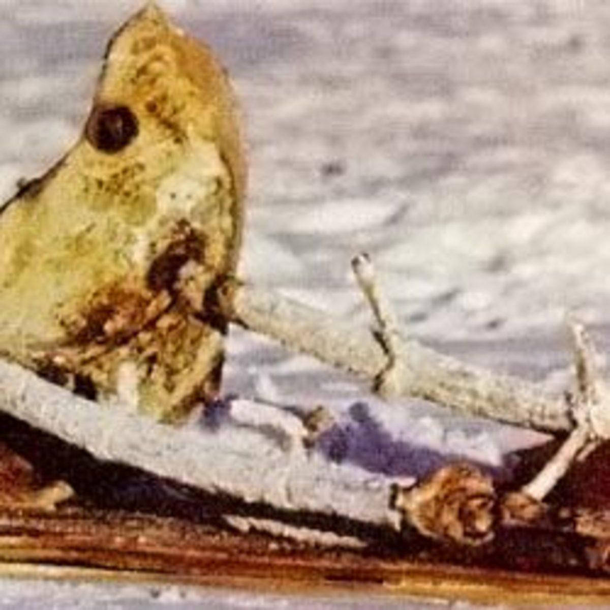 Bugüne Kadar Dünya’ya Kontrolsüzce Düşen En Büyük Uzay Araçları