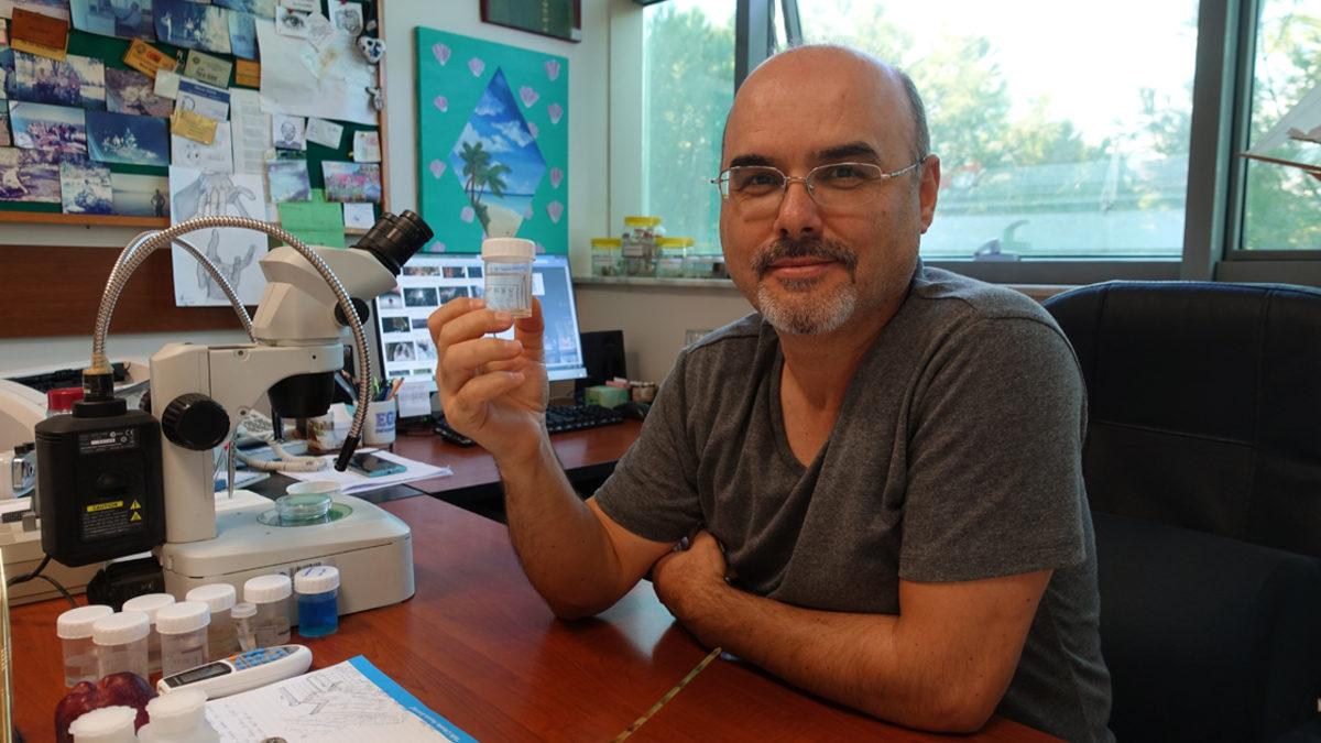 Türk Bilim İnsanları, Türkiye’de İki Yeni Canlı Türü Keşfettiler