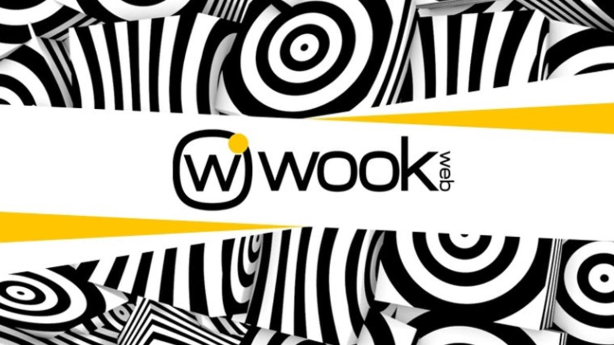Fikirlerinizi Bir Projeye Dönüştüren Yardımcı: Wookweb