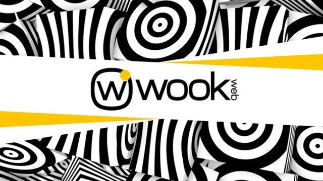 Fikirlerinizi Bir Projeye Dönüştüren Yardımcı: Wookweb