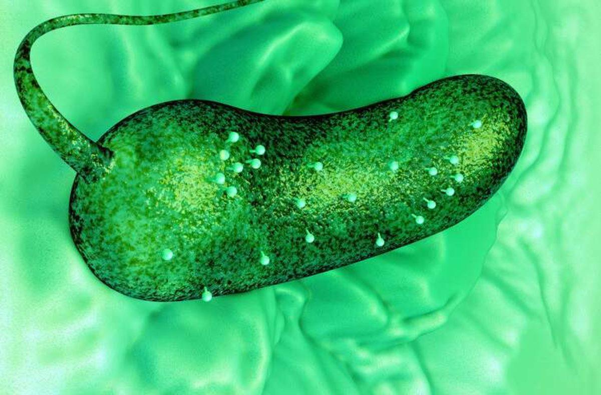 Bilim İnsanları, Hücre Yaşam Sürecini İlk Defa 3 Boyutlu Olarak Görüntüledi