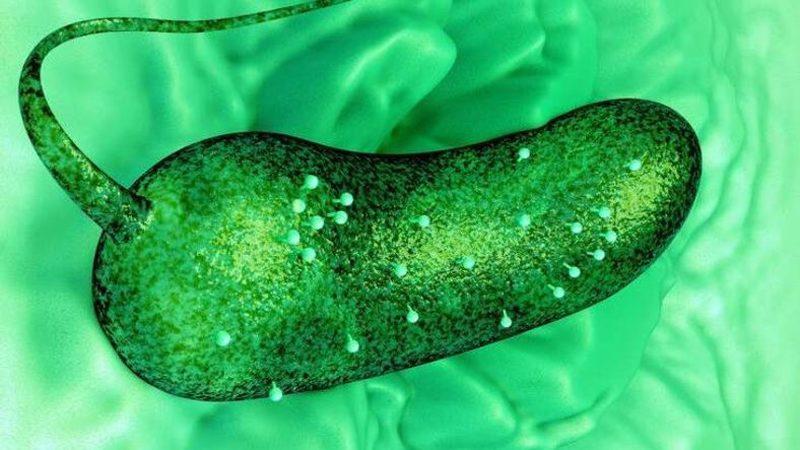 Bilim İnsanları, Hücre Yaşam Sürecini İlk Defa 3 Boyutlu Olarak Görüntüledi