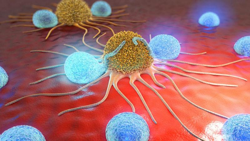 Kanserli Hücreleri ’GPS Gibi’ Tespit Edebilen Yeni Bir Sistem Geliştirildi