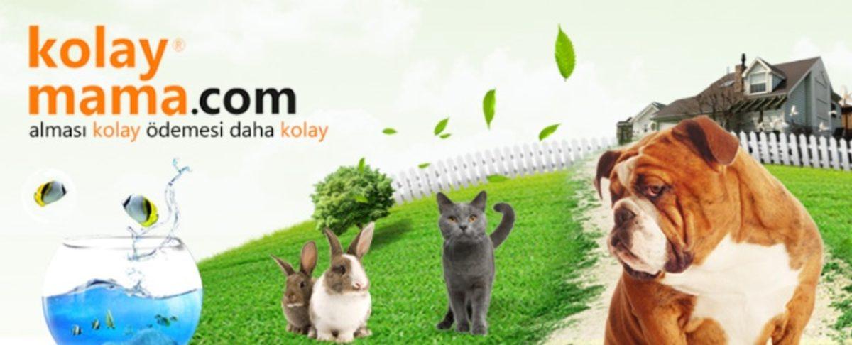 Uygun Fiyatlı Köpek ve Kedi Maması Almak İçin 10 Uygulama