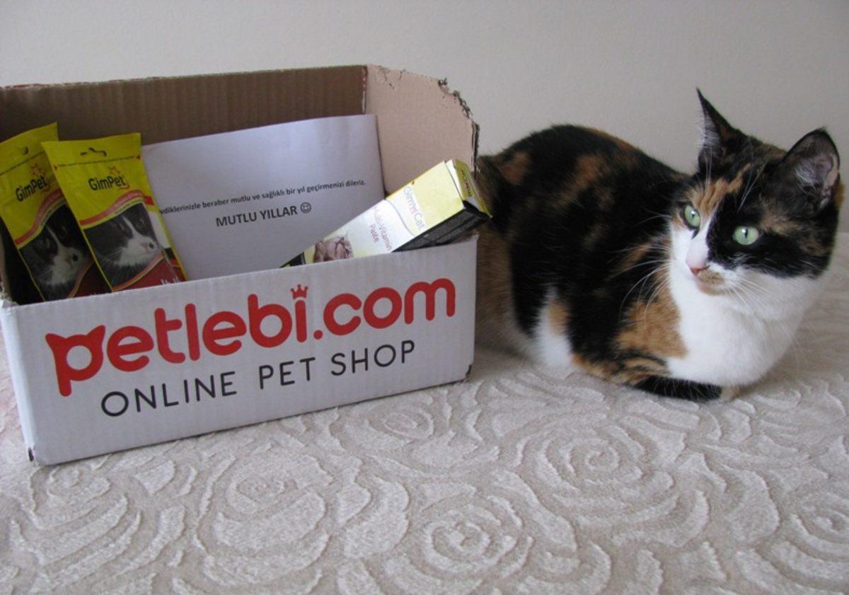 Uygun Fiyatlı Köpek ve Kedi Maması Almak İçin 10 Uygulama