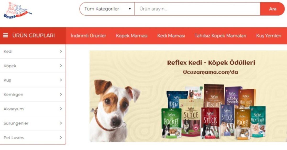Uygun Fiyatlı Köpek ve Kedi Maması Almak İçin 10 Uygulama