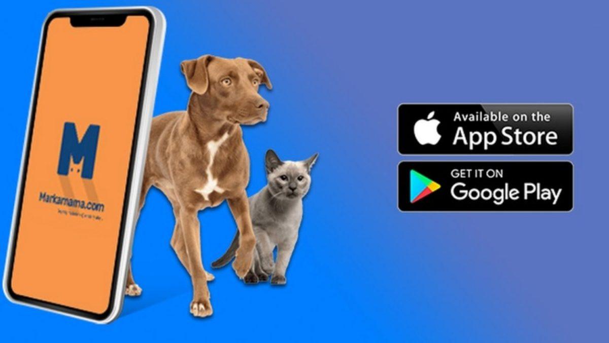 Uygun Fiyatlı Köpek ve Kedi Maması Almak İçin 10 Uygulama