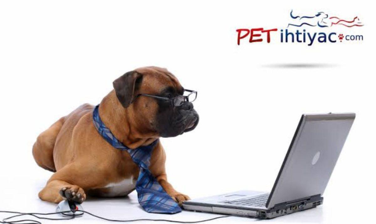 Uygun Fiyatlı Köpek ve Kedi Maması Almak İçin 10 Uygulama