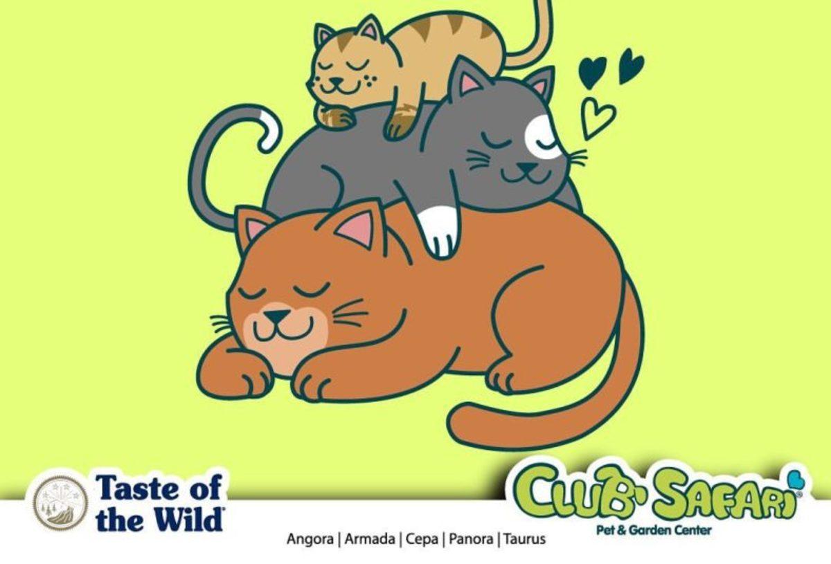 Uygun Fiyatlı Köpek ve Kedi Maması Almak İçin 10 Uygulama