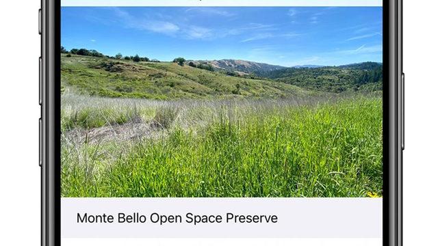 iOS 14’le Birlikte Kullanıcılar, Fotoğraflara Başlık Ekleyebilecekler