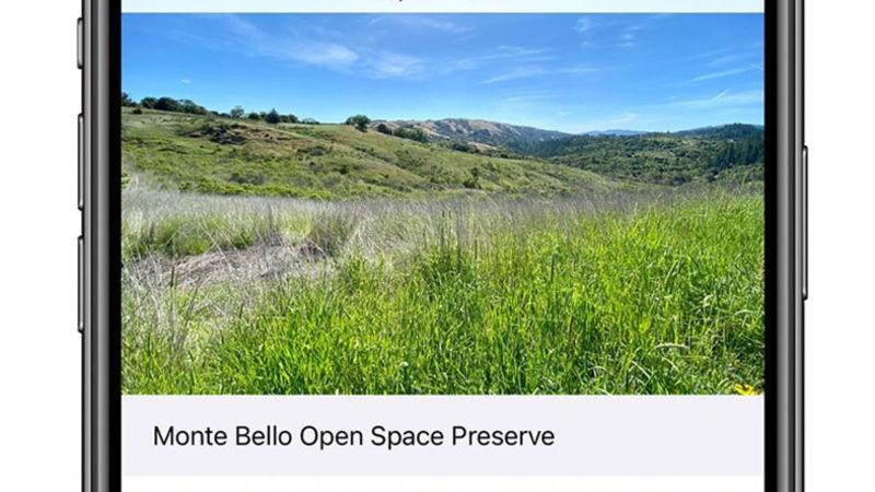 iOS 14’le Birlikte Kullanıcılar, Fotoğraflara Başlık Ekleyebilecekler