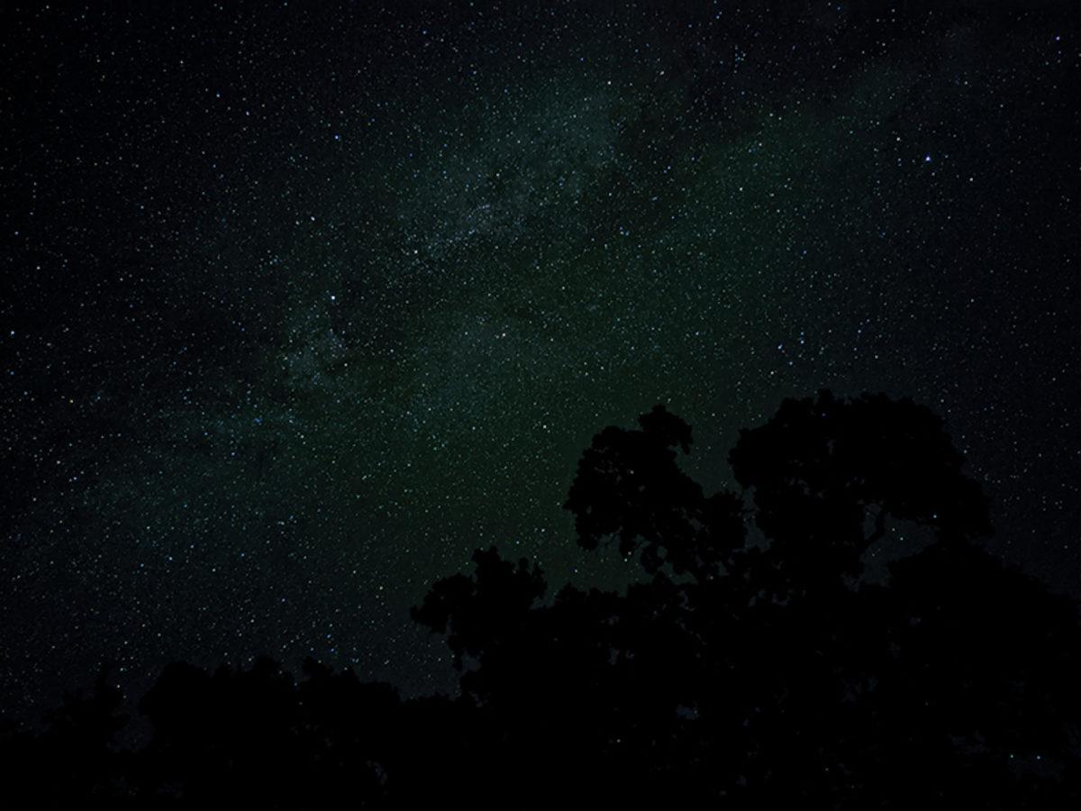 Google Pixel 4 ve 4 XL Duyuruldu: İşte Fiyatı ve Özellikleri