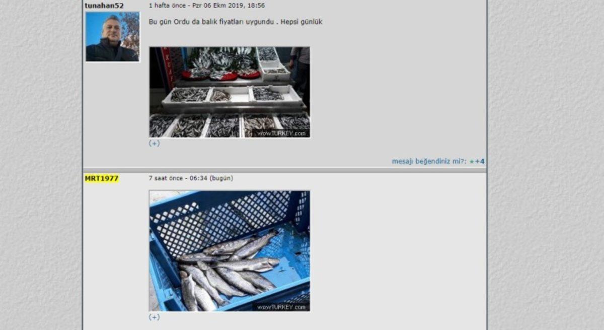 İçinde Türkiye’den 1 Milyon Fotoğrafın Bulunduğu Tuhaf Site: WowTurkey