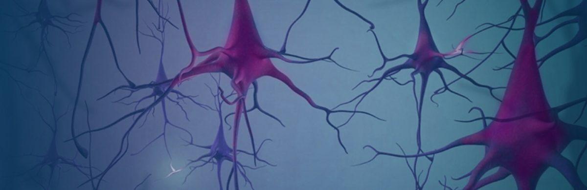 Beyindeki Hücre Aktivitesini Azaltmak Daha Uzun Yaşamamızı Sağlayabilir